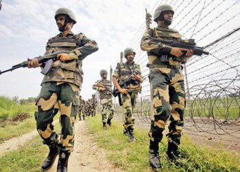 BSF seized arms, ammunition at Indo-Pak border
