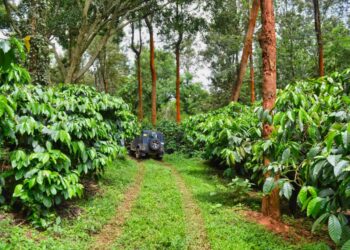 A trader in Karnataka who sold adulterated coffee was sentenced to 6 months in Jail