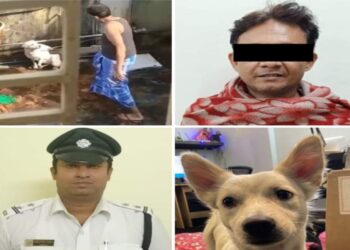 Kolkata Police arrested a man for cruelty