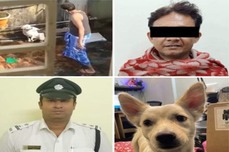 Kolkata Police arrested a man for cruelty