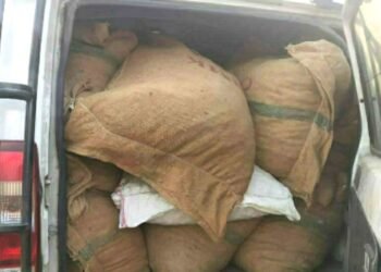 13 bags of smuggled dry Areca Nut seized by Mamit Police