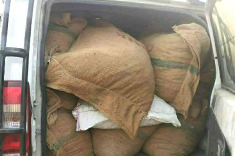 13 bags of smuggled dry Areca Nut seized by Mamit Police