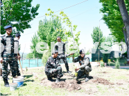 Tree Plantation Drive by CRPF