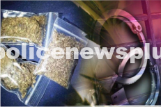 Car seized with 500 kg of smuggled gutka