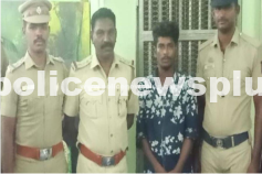 Thief with 15+ Cases