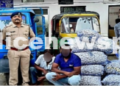 Garlic Theft Foiled
