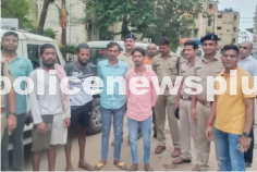 Raids Lead to Numerous Arrests