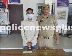 Crime Prevention Campaign Success