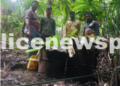 A&N Police Destroys Illicit Liquor Production