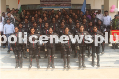 YCRPF: Transformative Symbolism