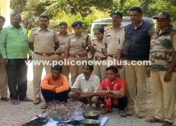 Three arrested for hunting peacock, eating meat