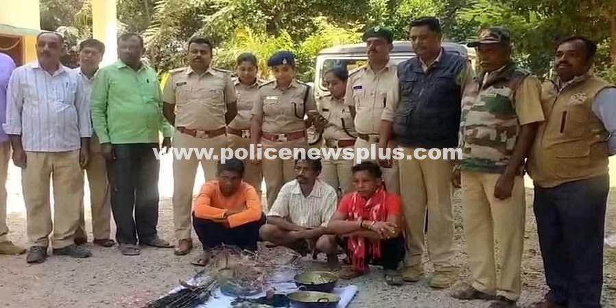 Three arrested for hunting peacock, eating meat