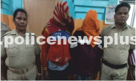 Property Offense Arrests