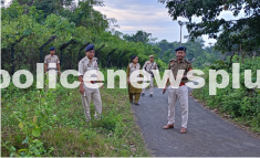 Border Patrol Operation