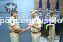 DGP Awards Silver Medals