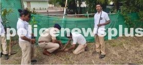 Guard Day Celebration Activities