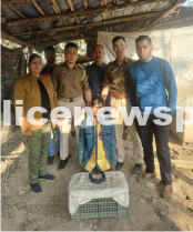 STF Assam Nabs Peddler