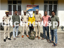 Apprehended one person with Illegal Venison