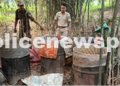 Enforcement on Illicit Liquor