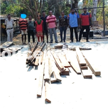 Timber Seized in Mayabunder