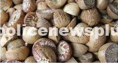 Nuts Seized in Assam