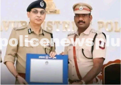 DGP Commended DSP