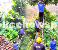 Fire Service Removes Fallen Tree
