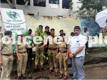 Tree plantation program