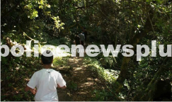 College students fined for trespassing