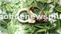 Perumbavoor Ganja Raid by Police