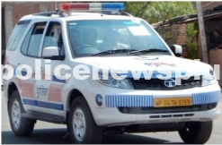 Motorcycle Cow Collision, injured transferred to hospital