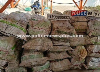 AP Police Step Up Efforts to Combat Ganja Trafficking