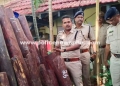 AP Police Targets Red Sandalwood Smuggling