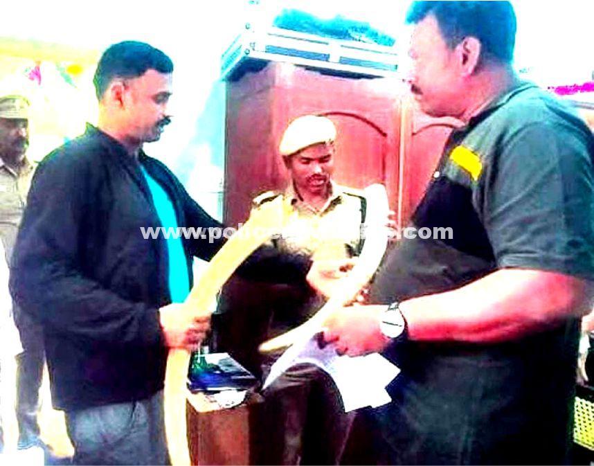 Raids are carried out by the forest department