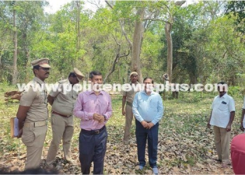 Forest Guard Conducts Inspection in Kasampatti Region