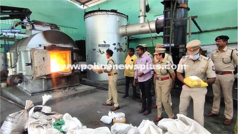 Madurai Police Destroy Seized Cannabis safely