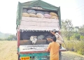 Check posts to Stop Cattle Smuggling