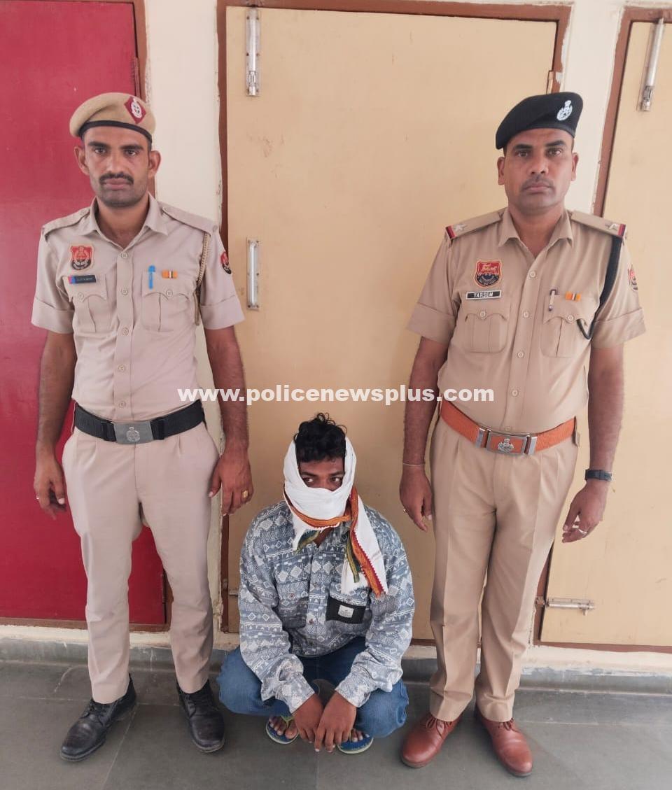 Fatehabad Police Nab Third Accused in Dhani Theft
