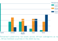INTERPOL Flags Surge in Africa Cybercrime