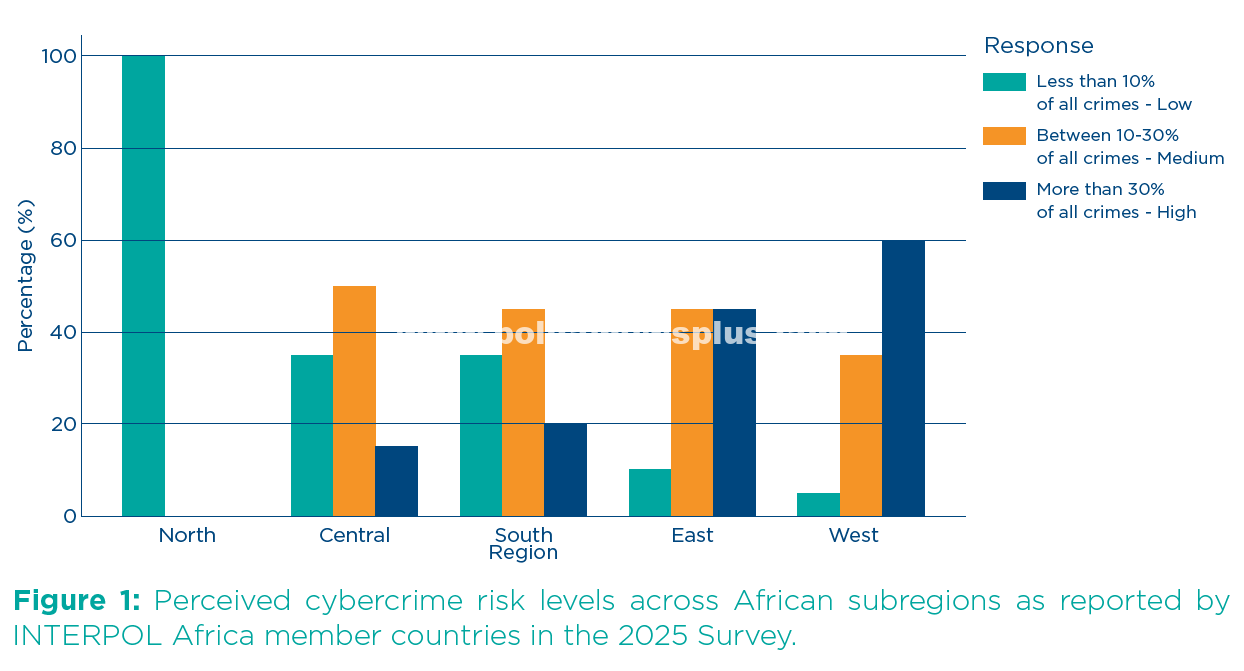 INTERPOL Flags Surge in Africa Cybercrime