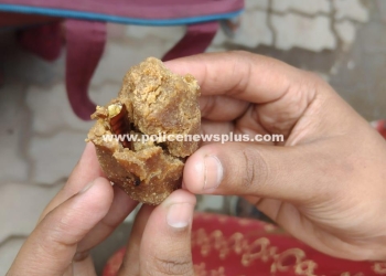 Cockroach in Supplement Alarms Madurai Residents