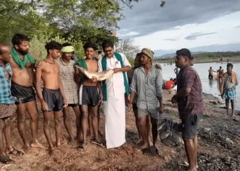 Massive Turnout at Fish Festival