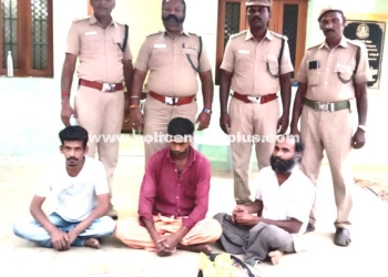 Three Held in Dindigul for Ivory Sale Attempt