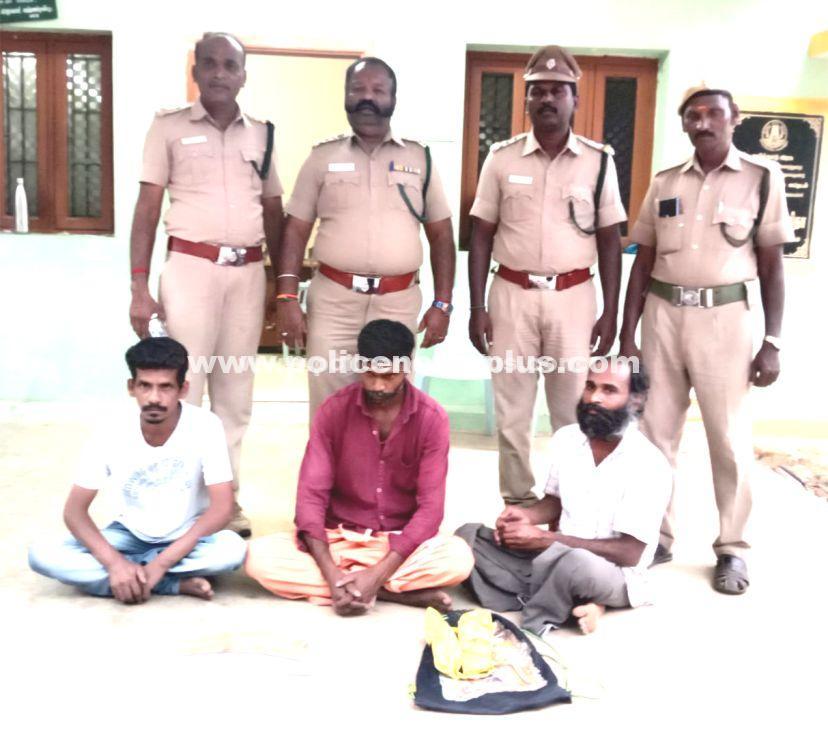Three Held in Dindigul for Ivory Sale Attempt