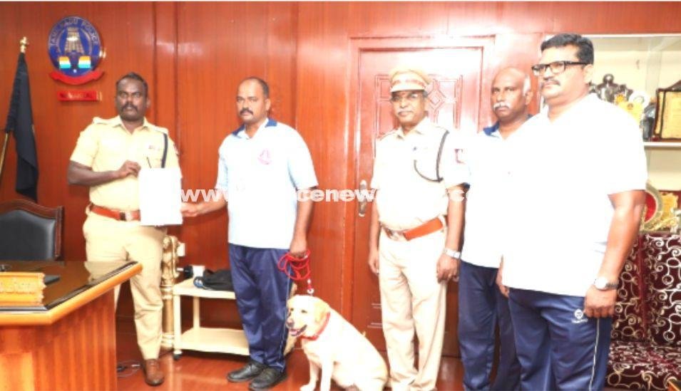 Sniffer DogDiana Wins Silver for Namakkal