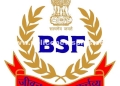 Bravery Recognized: 16 Personnel Get Medals