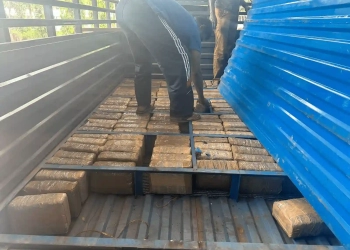 NCB Seizes Ganja Near Chennai