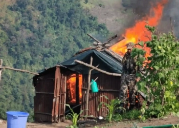Security Forces Destroy Illegal Poppy