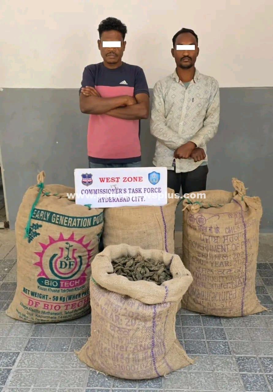 Hyderabad Police Seize Ganja