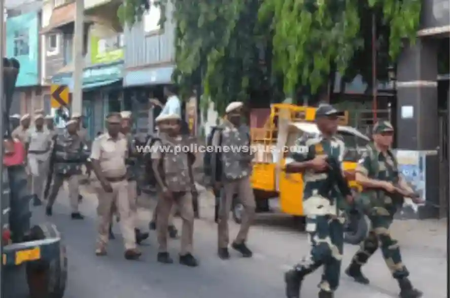 Election Security Flag March Held